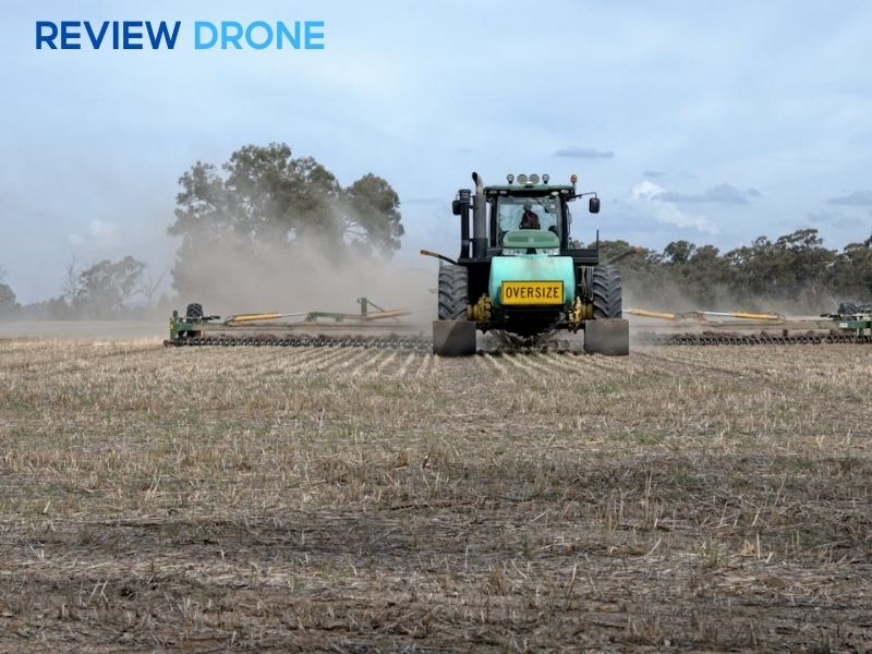 cách gieo mầm lúa mạch