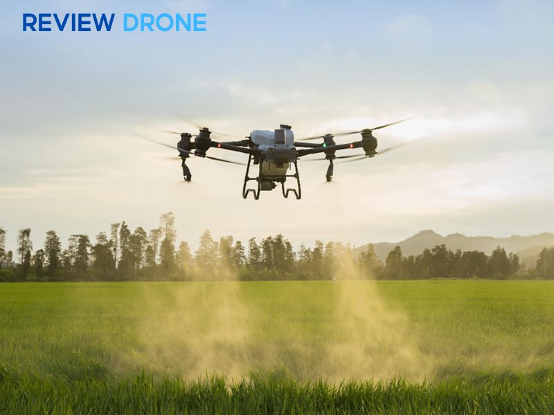 Những sai lầm phổ biến khiến việc phun thuốc kém hiệu quả