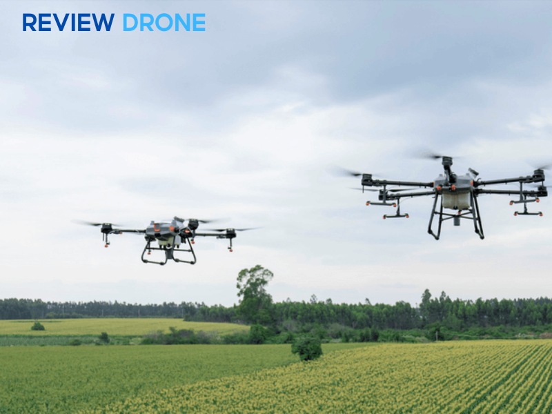 Ưu và nhược điểm của từng model