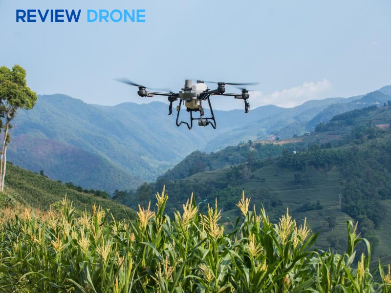 Nên chọn DJI Agras T70P hay T25P?