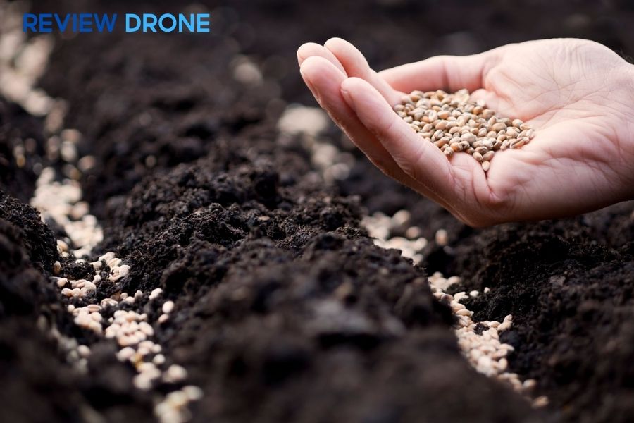 Cách gieo hạt lúa mì quy mô lớn bằng máy bay