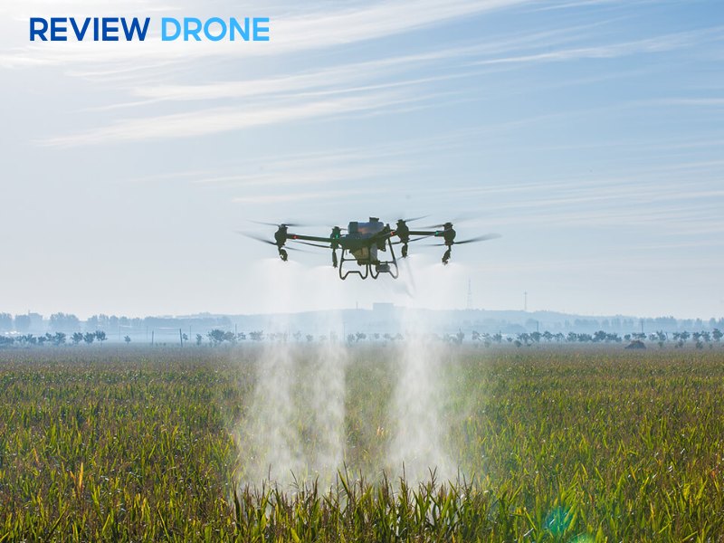 Cách đọc báo giá DJI T25P cho đúng, tránh hiểu nhầm Cách đọc báo giá DJI T25P cho đúng, tránh hiểu nhầm