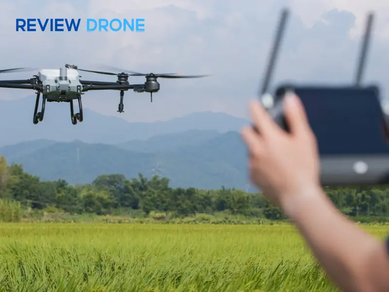 Ảnh hưởng của môi trường khắc nghiệt Ảnh hưởng của môi trường khắc nghiệt