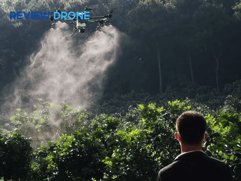 máy bay phun thuốc sầu riêng