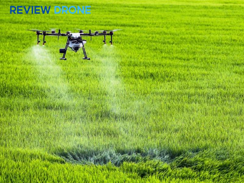 Nên chọn máy phun thuốc lúa theo tiêu chí nào?