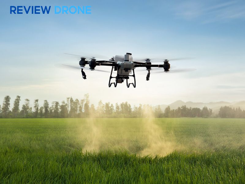 phun thuốc trừ sâu cho lúa