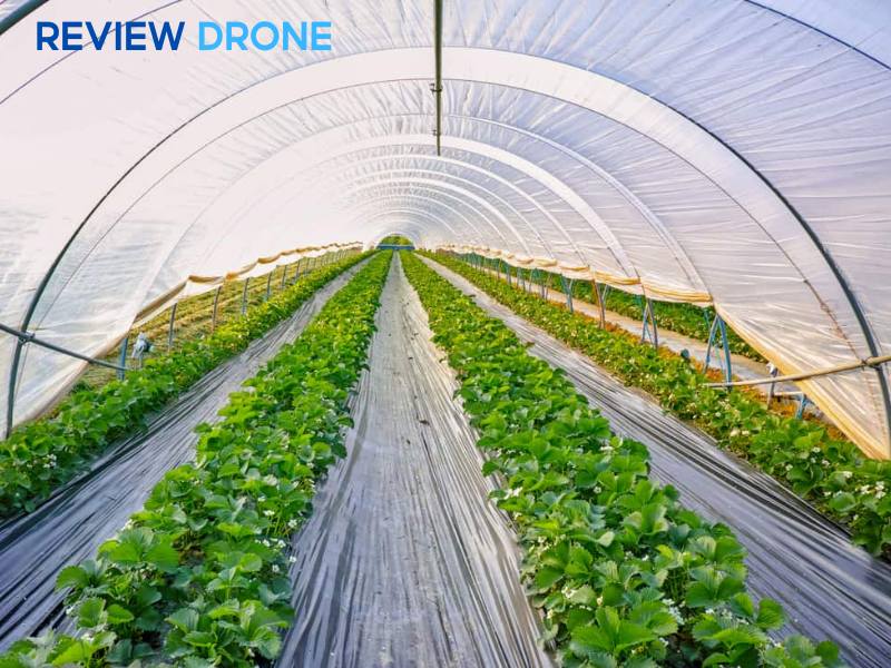 mô hình nông nghiệp công nghệ cao