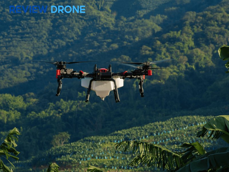 So sánh chi phí đầu tư & hiệu quả kinh tế