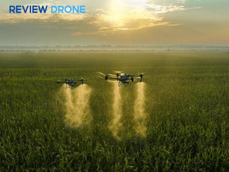 Giải pháp thay thế thuốc hóa học (Xu hướng bền vững)