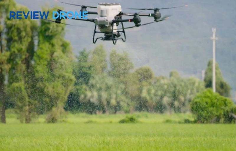 Nâng cao năng suất và chất lượng nông sản với máy bay nông nghiệp DJI