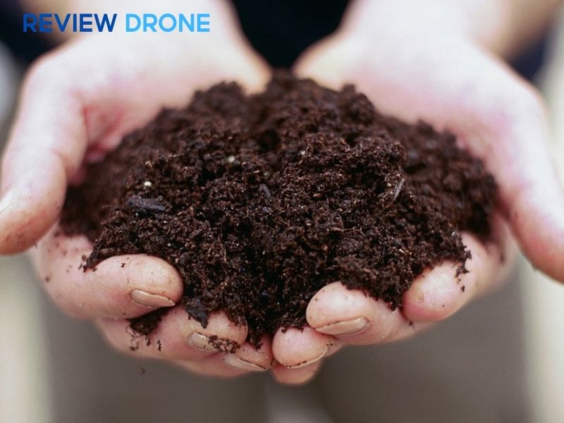 bón phân cho dưa leo bón phân cho dưa leo