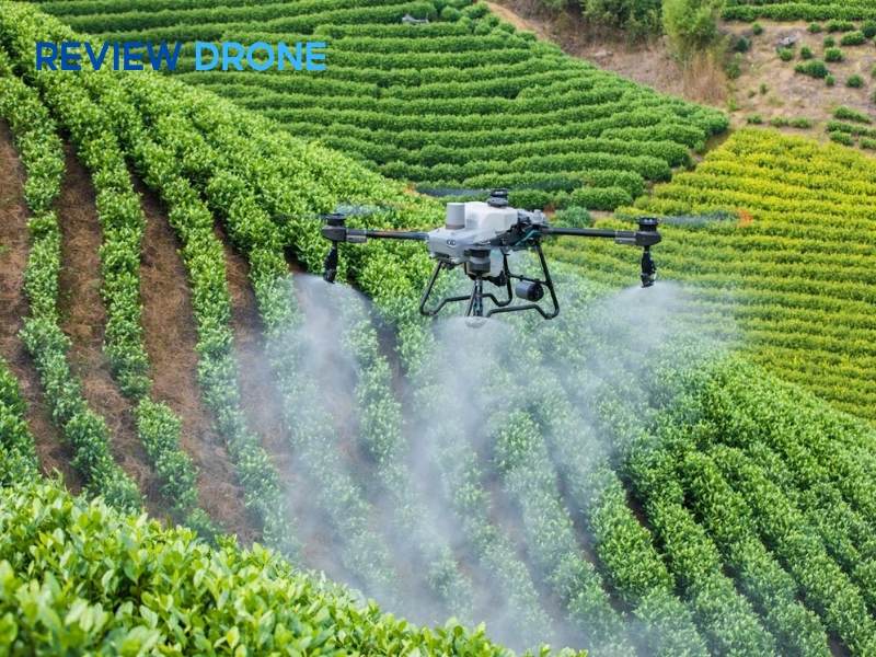 Cơ giới hóa và tự động hóa (Drone & Robot)