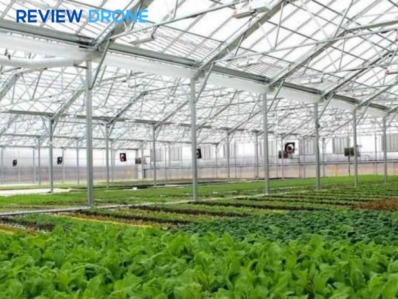 mô hình trồng trọt hữu cơ mô hình trồng trọt hữu cơ