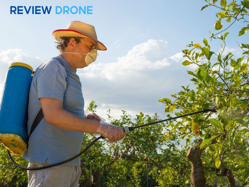 phun thuốc trừ sâu cho cây mai