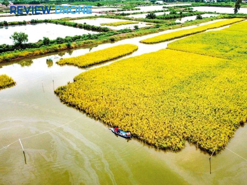 mô hình trồng trọt hữu cơ mô hình trồng trọt hữu cơ