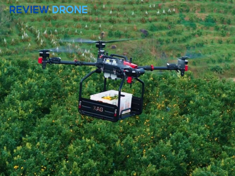 Khả năng vận chuyển và khảo sát (Mapping & Lifting)