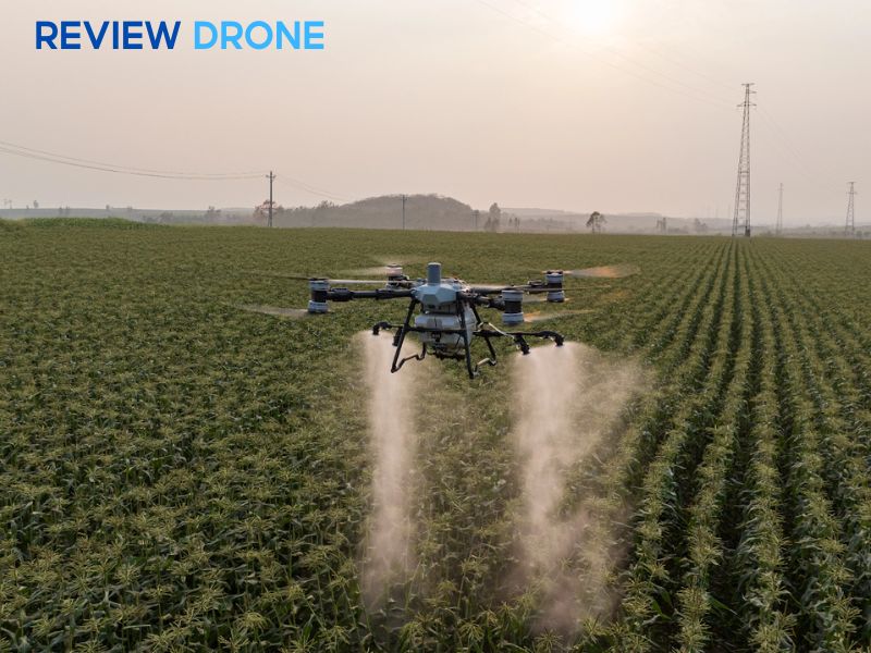 Khi nào nên chọn DJI Agras T100? Khi nào nên chọn DJI Agras T100?