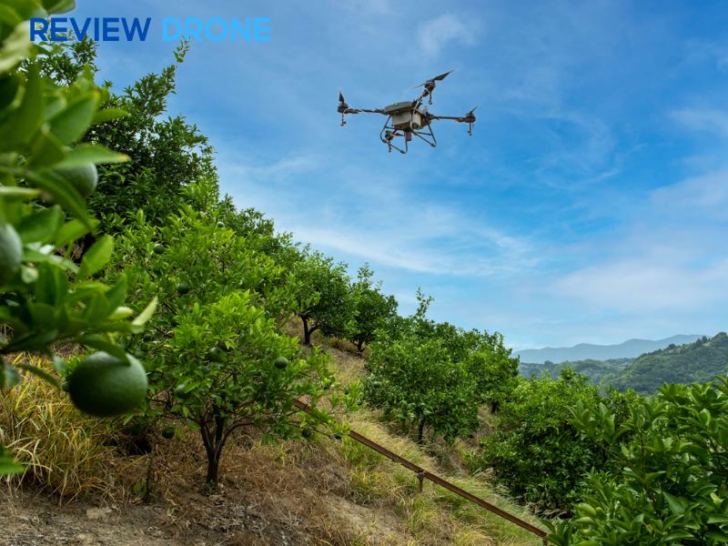 hướng dẫn vận hành dji agras t10 hướng dẫn vận hành dji agras t10