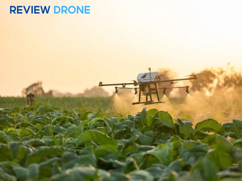 mô hình nông nghiệp công nghệ cao