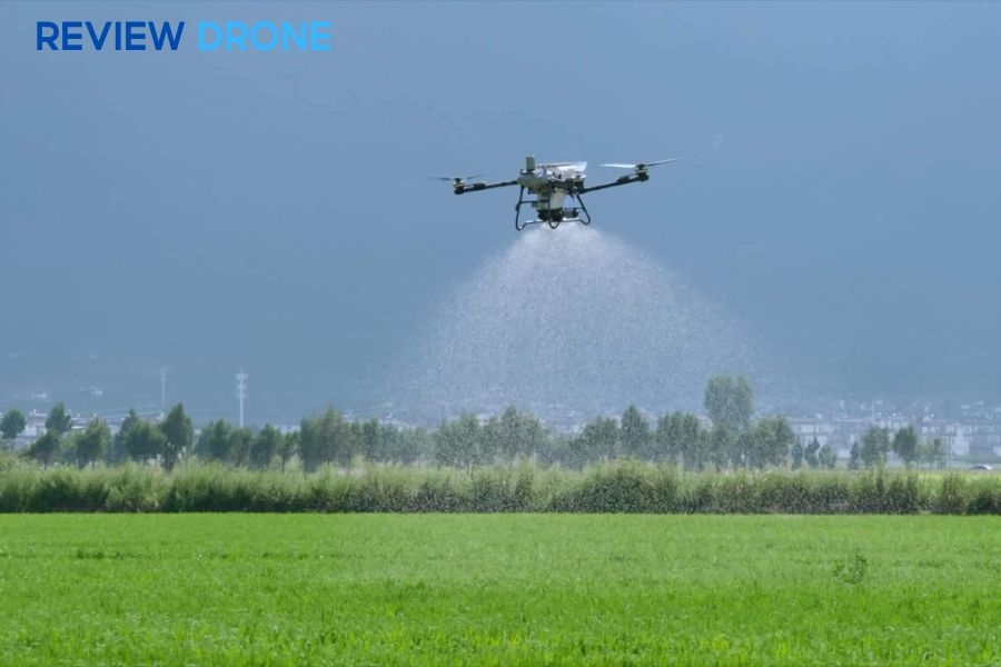 Máy bay phun thuốc cây đào: Giải pháp tối ưu hóa năng suất