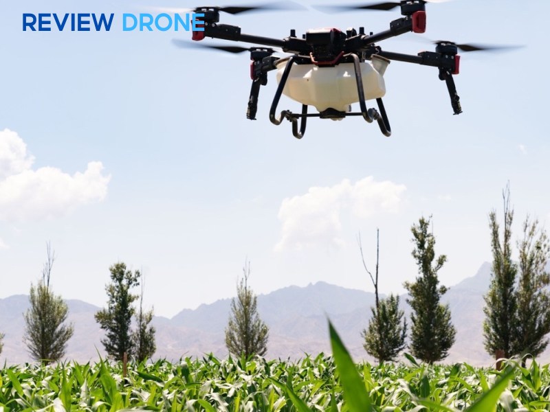 Nên chọn DJI Agras T70P hay XAG P100?