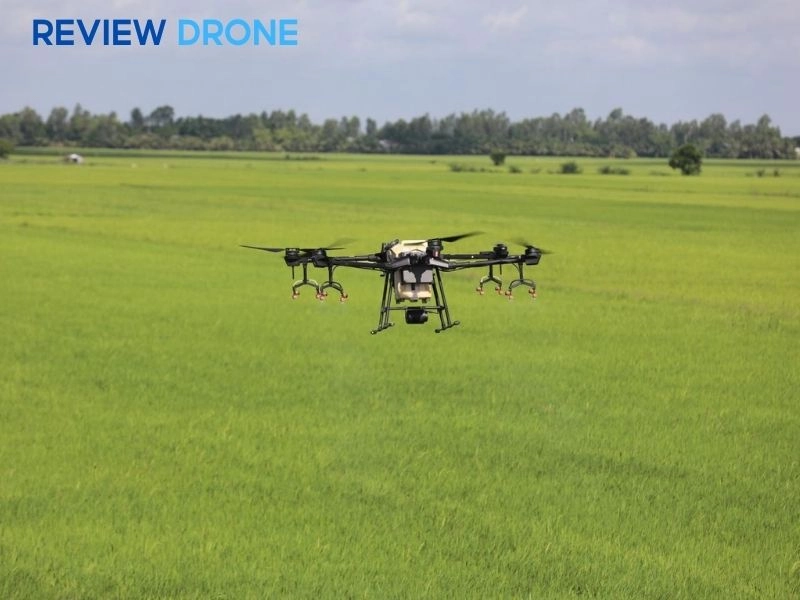 Giải pháp phun thuốc cho lúa bằng công nghệ drone (máy bay phun thuốc)
