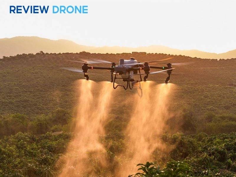 Lợi ích kinh tế và môi trường thực tế