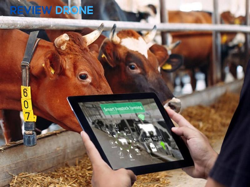 Chăn nuôi thông minh