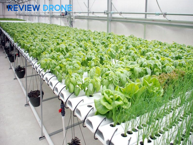 ứng dụng công nghệ cao trong trồng trọt