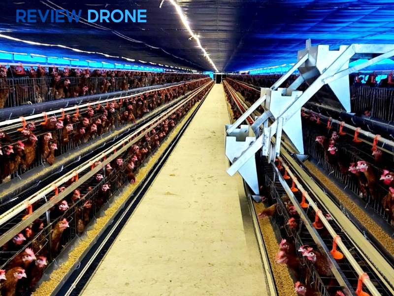 mô hình nông nghiệp công nghệ cao