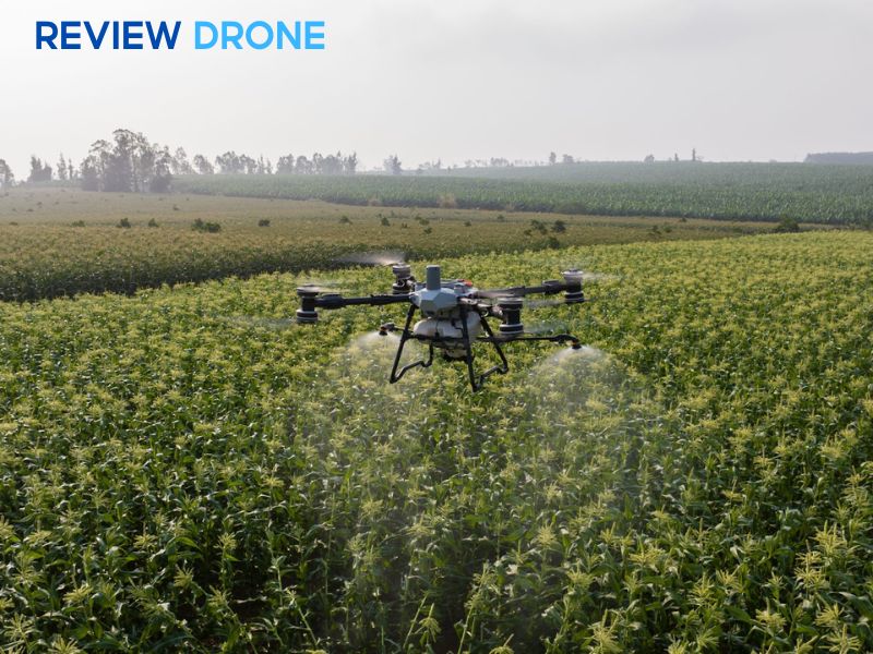 so sánh dji agras t100 và t50 so sánh dji agras t100 và t50