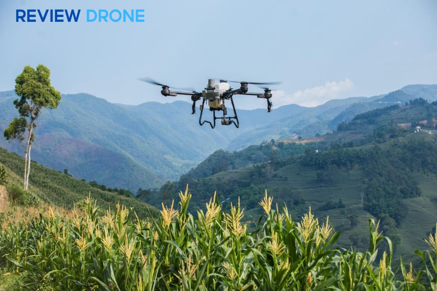So sánh DJI Agras T70P và T25P: Nên chọn drone nào?