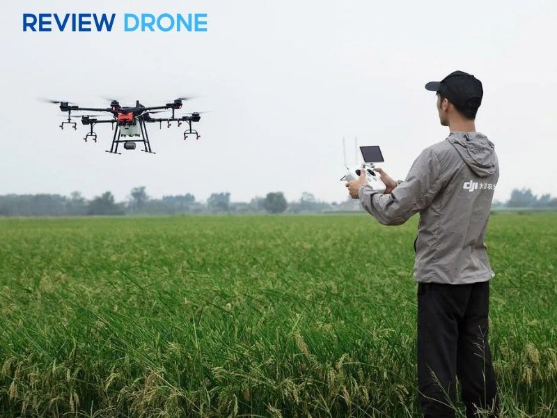 Những lưu ý cho chủ vườn khi thuê dịch vụ phun thuốc