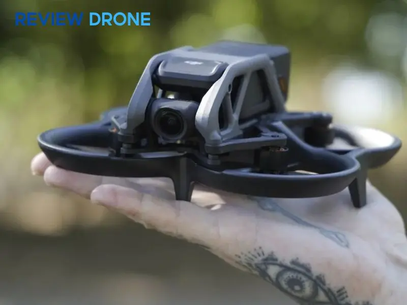 review DJI Avata