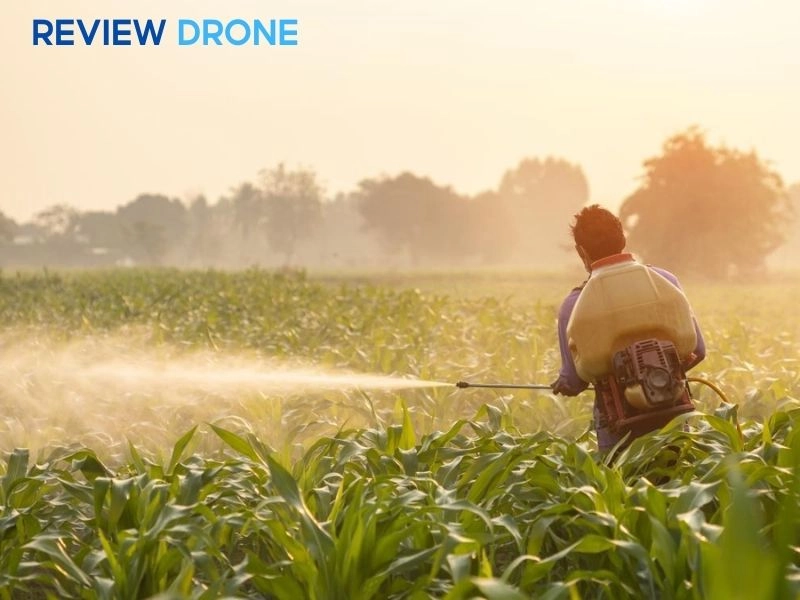 phun thuốc trừ sâu cho ngô phun thuốc trừ sâu cho ngô