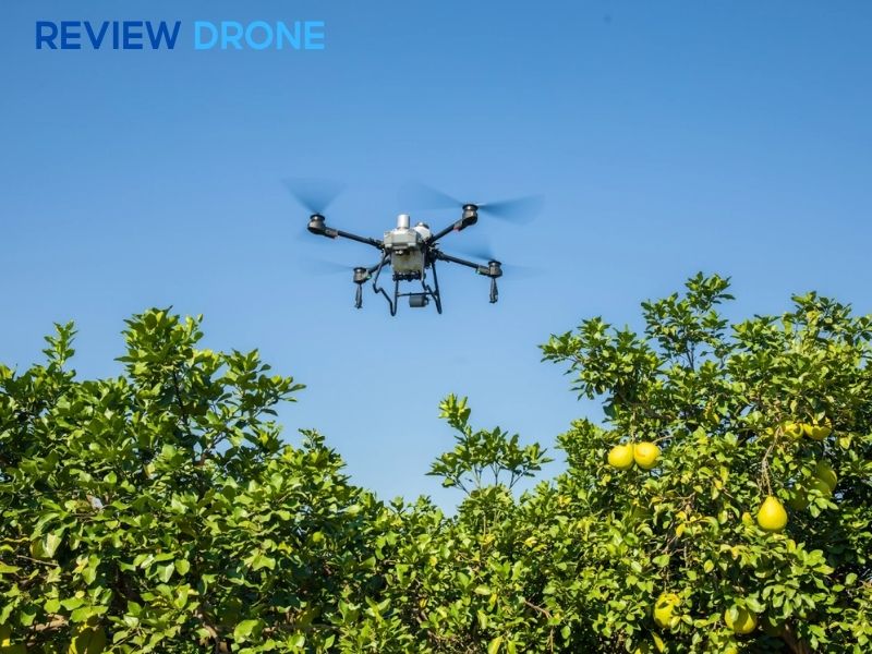 Báo giá máy bay phun thuốc 3 trong 1 (Cập nhật mới nhất)