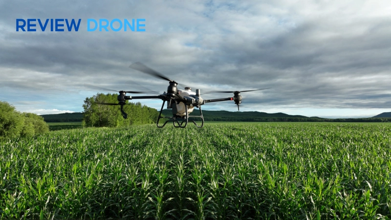 Máy bay nông nghiệp DJI giúp rải phân và gieo hạt