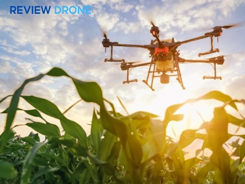 Các quy tắc an toàn và điều kiện môi trường khi phun Các quy tắc an toàn và điều kiện môi trường khi phun