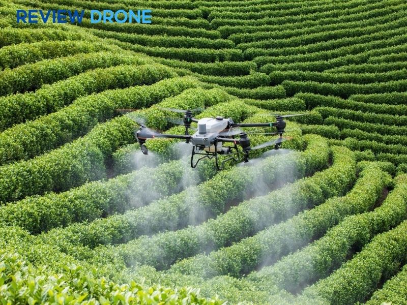 Đảm bảo an toàn lao động và thời gian cách ly (PHI)