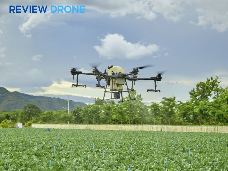 Gieo sạ bằng máy bay nông nghiệp (Giải pháp tối ưu)