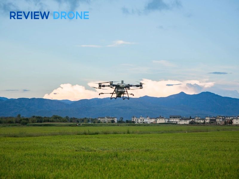 máy bay xịt thuốc sầu riêng