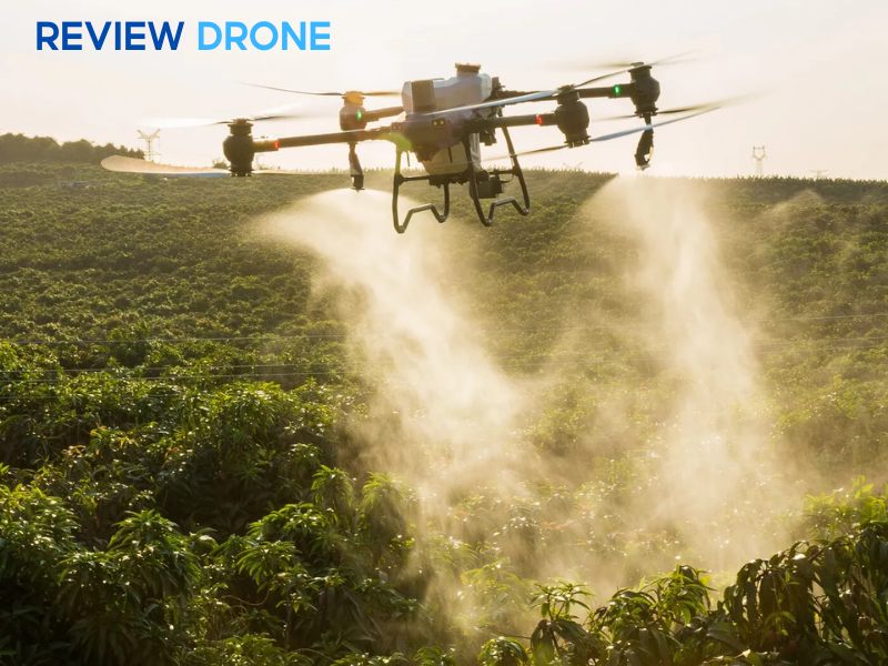 Chọn DJI Agras T50 khi