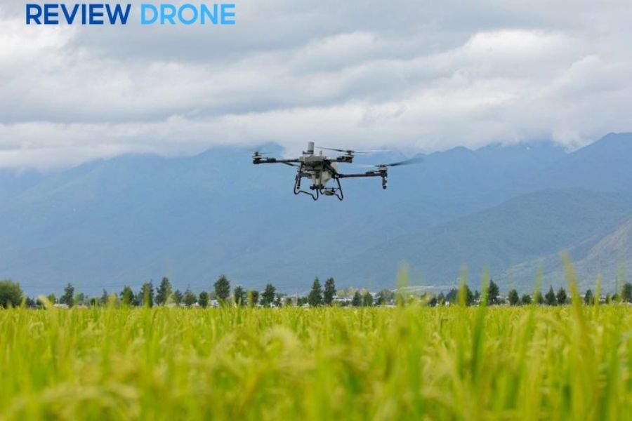 5 Ứng Dụng Drone Nông Nghiệp Chính Xác Tăng 30% Hiệu suất