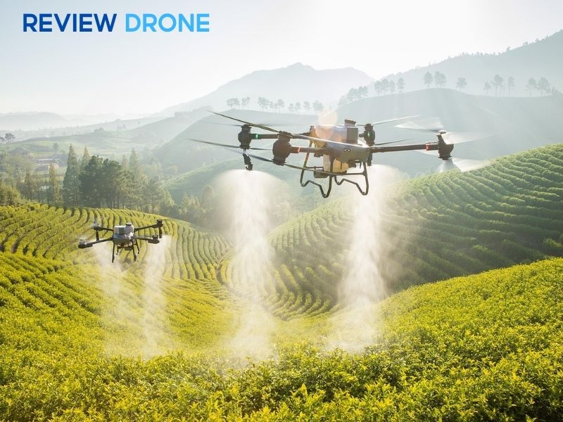 Quy trình triển khai dịch vụ chuyên nghiệp