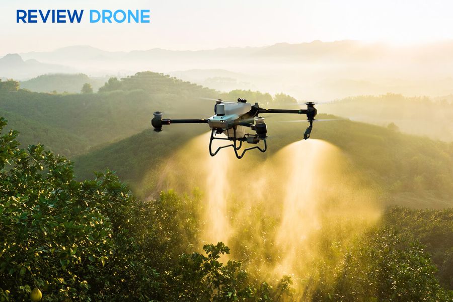 Cách phun thuốc trừ sâu an toàn, hiệu quả