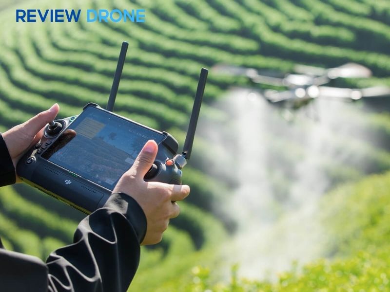 Nên mua hay thuê dịch vụ?