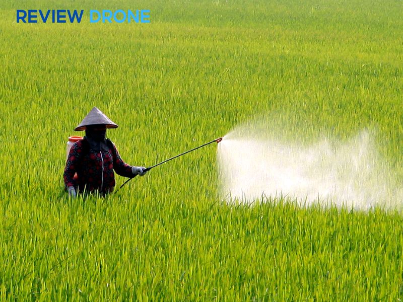 phun thuốc trừ sâu cho lúa