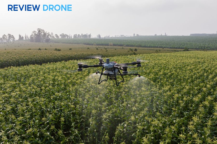 So Sánh DJI Agras T100 Và T50: Khác Biệt Gì?