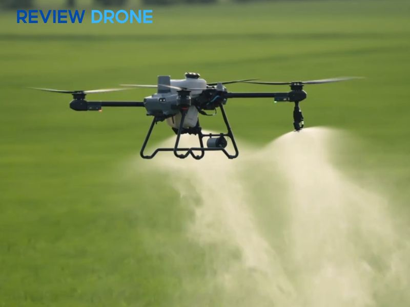 Lưu ý về thời gian cách ly và an toàn thực phẩm