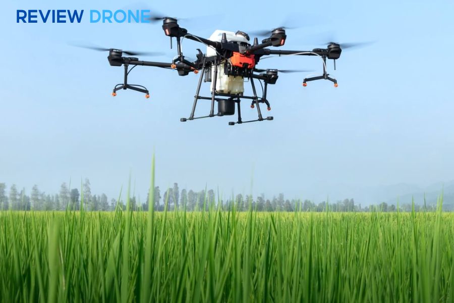 Cách phun thuốc trừ sâu cho lúa sạch sâu, hiệu quả